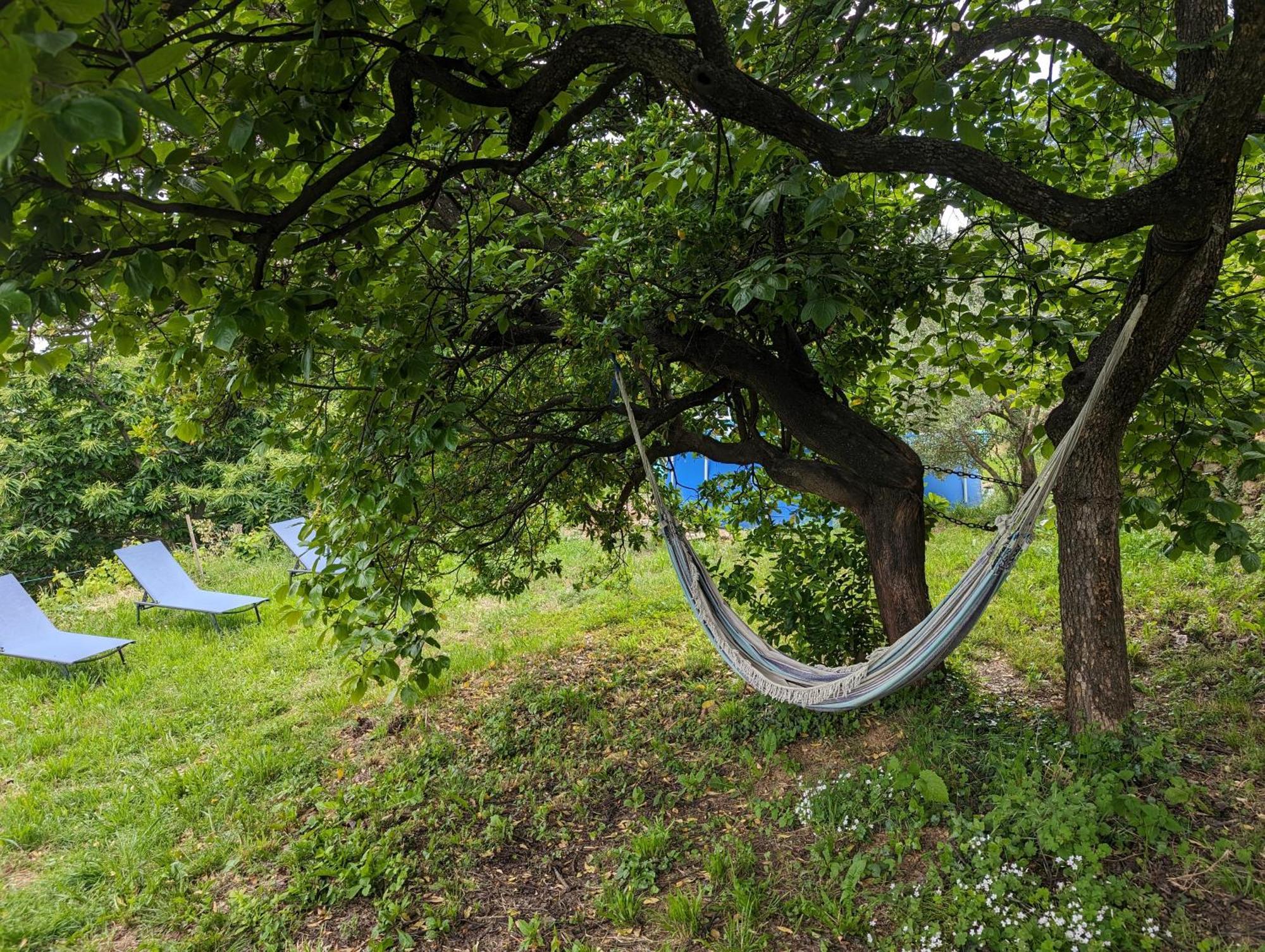 Gite Du Tilleul - 2 Etoiles - Domaine De L'Olivier Faugeres  Exteriör bild